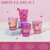 Paris Hilton 4-Piece Shot Glass Set, Fun Decals on Every Glass, 2-Ounce, Hot Pink and Light Pink