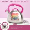 Paris Hilton Whistling Stovetop Tea Kettle, Stainless Steel with Rainbow Love Color Changing Heat Indicator Design, Soft Touch Handle, 2.5-Quart, Love Rainbow(Love Rainbow)
