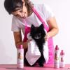 Paris Hilton Dog Deodorizer & Detangler | Odor Neutralizing with Light Sweet Pea & Vanilla Scent for Fresh Grooming & Detangling – Sulfate-Free, Vegan, Hypoallergenic for All Pet Breeds 10oz/295ml