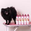 Paris Hilton Dog Perfume, Deodorizer & Detangler | Odor Neutralizing with Fresh Citrus-Infused Bergamot Scent – Sulfate-Free, Vegan, Hypoallergenic for All Pet Breeds 10oz/295ml