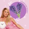 Paris Hilton Dog Perfume, Deodorizer & Detangler | Odor Neutralizing with Gentle Calming Lavender Scent – Sulfate-Free, Vegan, Hypoallergenic for All Pet Breeds 10oz/295ml