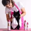 Paris Hilton Fragrance-Free Dog & Pet Blowout Conditioning Spray – Hypoallergenic, Sulfate-Free Grooming Treatment for Frizz Control, Soft Coats, Detangling & Show Ready Fur Styling 6oz