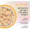 Weruva Paris Hilton Pamper Like Paris Natural Grain Free Wet Cat Food, Chicken Breast in Gravy, 2.47oz Can (Pack of 12)