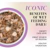 Weruva Paris Hilton Pamper Like Paris Natural Grain Free Wet Cat Food, Tuna, Beef, and Salmon in Gravy, 2.47oz Can (Pack of 12)