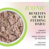 Weruva Paris Hilton Pamper Like Paris Natural Grain Free Wet Cat Food, Tuna in Gravy, 2.47oz Can (Pack of 12)