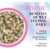 Weruva Paris Hilton Pamper Like Paris Natural Wet Dog Food, Duck and Rice, 2.75oz Cup (Pack of 10)