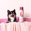 Paris Hilton Dog Shampoo – Sweet Pea & Vanilla Fresh Scent, Sulfate-Free Vegan & Hypoallergenic for All Dog Breeds, with Oatmeal & Aloe for Healthy Coats, Reduced Shed & Show-Ready Grooming 16oz/480ml(Fragrance-Free)
