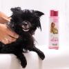 Paris Hilton Dog Shampoo – Sweet Pea & Vanilla Fresh Scent, Sulfate-Free Vegan & Hypoallergenic for All Dog Breeds, with Oatmeal & Aloe for Healthy Coats, Reduced Shed & Show-Ready Grooming 16oz/480ml(Bergamot)