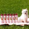 Paris Hilton Dog Shampoo – Sweet Pea & Vanilla Fresh Scent, Sulfate-Free Vegan & Hypoallergenic for All Dog Breeds, with Oatmeal & Aloe for Healthy Coats, Reduced Shed & Show-Ready Grooming 16oz/480ml(Sweet Pea & Vanilla)