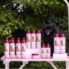 Paris Hilton Dog Shampoo – Sweet Pea & Vanilla Fresh Scent, Sulfate-Free Vegan & Hypoallergenic for All Dog Breeds, with Oatmeal & Aloe for Healthy Coats, Reduced Shed & Show-Ready Grooming 16oz/480ml(Fragrance-Free)