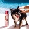 Paris Hilton Dog Shampoo – Sweet Pea & Vanilla Fresh Scent, Sulfate-Free Vegan & Hypoallergenic for All Dog Breeds, with Oatmeal & Aloe for Healthy Coats, Reduced Shed & Show-Ready Grooming 16oz/480ml(Lavender)